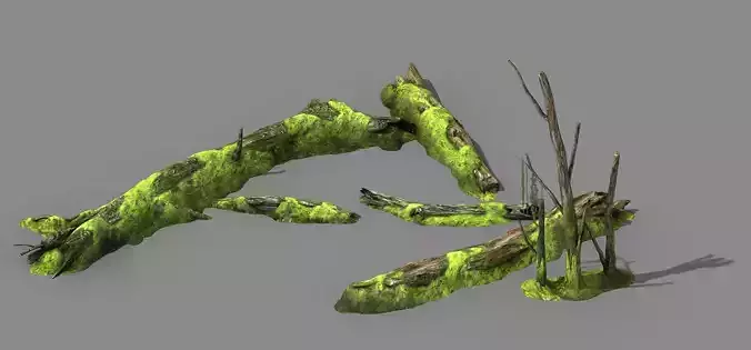 mountains - dead wood - green algae - broken 01