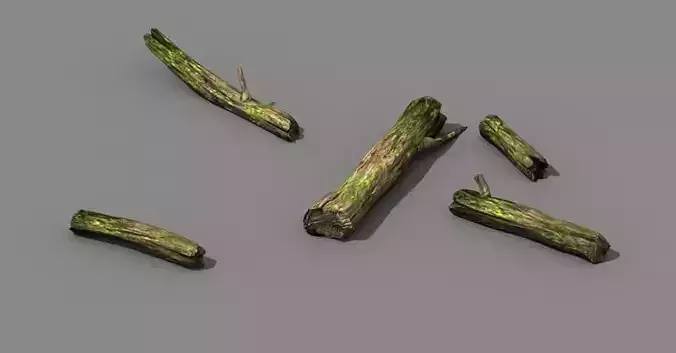 mountains - dead wood - green algae - broken 02