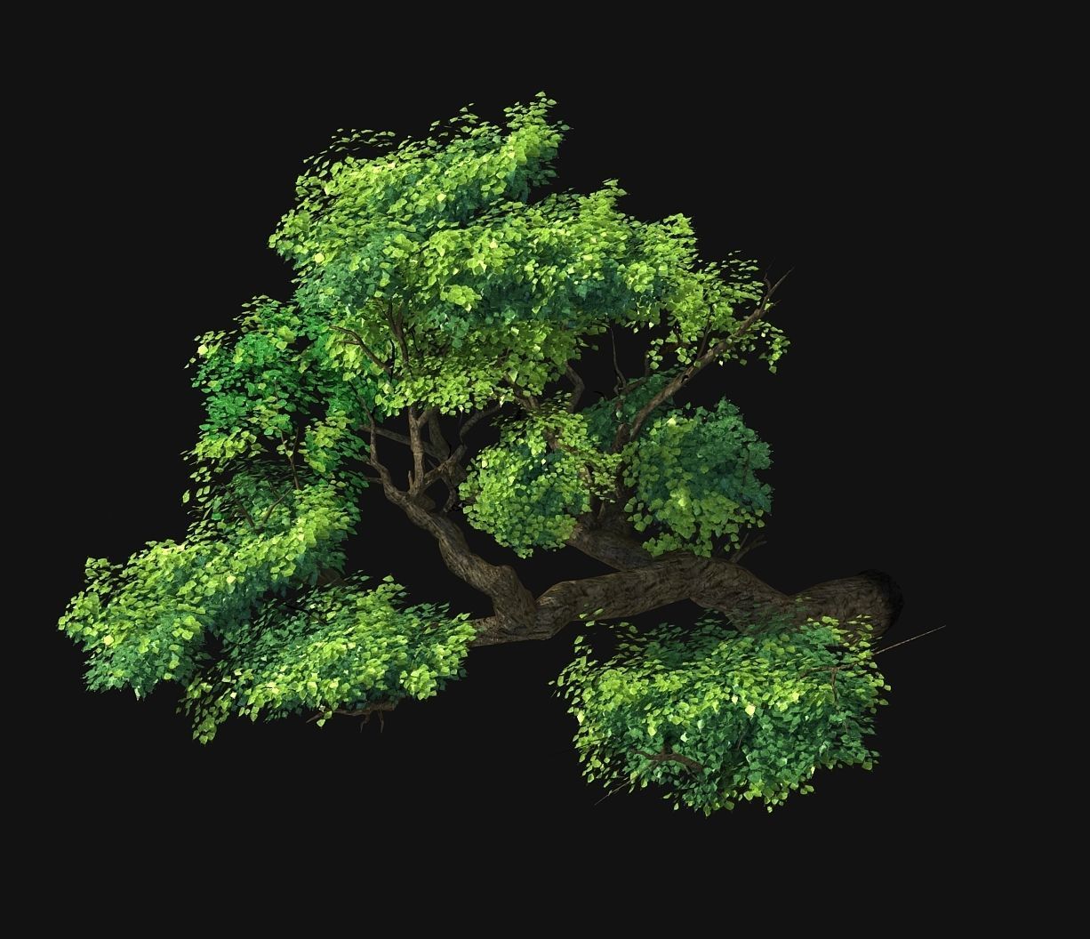 Explore the mountains - Cliff - Tree 02 3D model_4