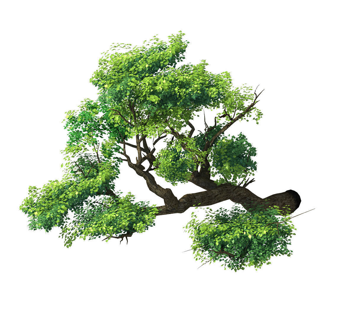 Explore the mountains - Cliff - Tree 02 3D model_1