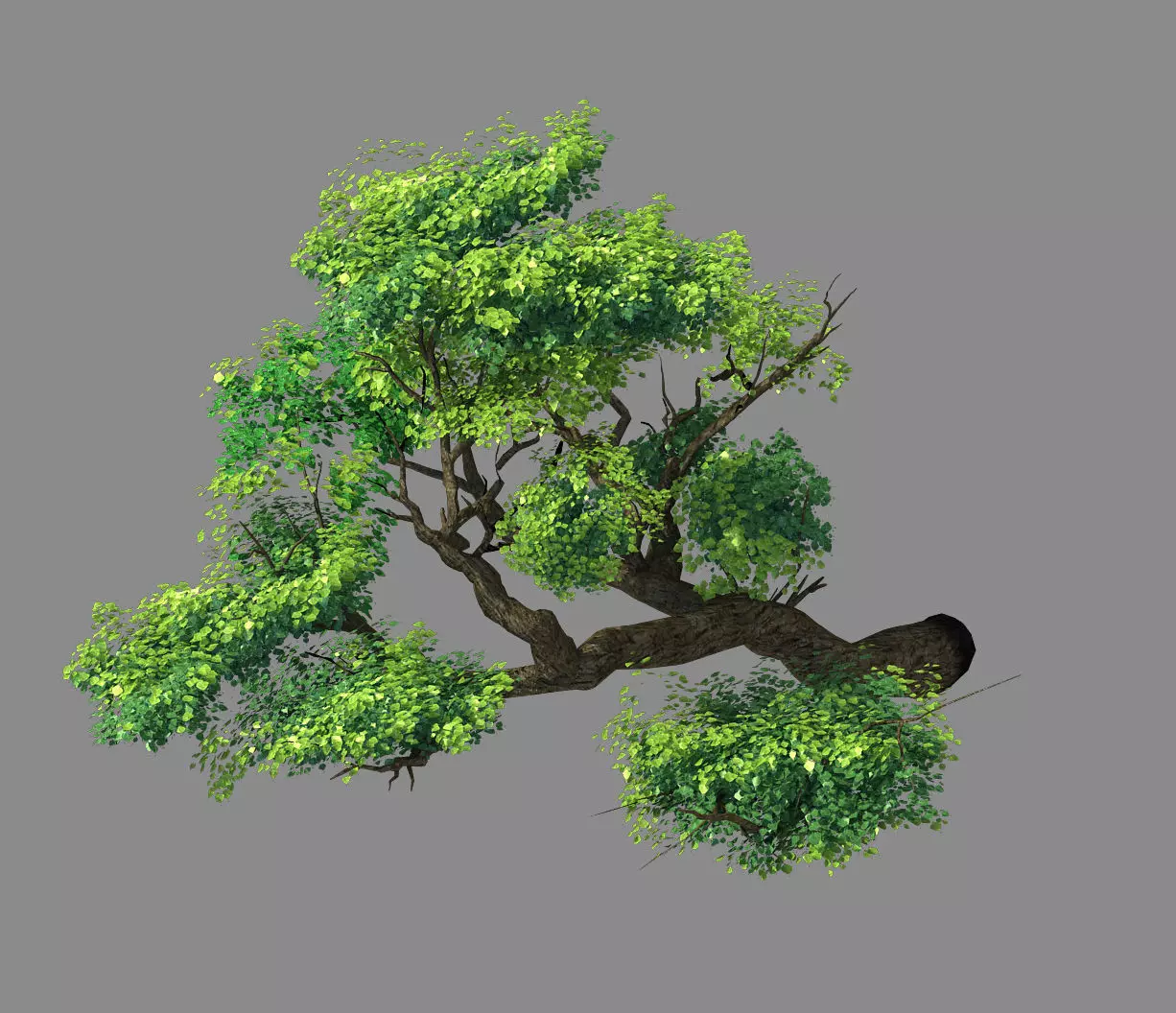 Explore the mountains - Cliff - Tree 02 3D model_0