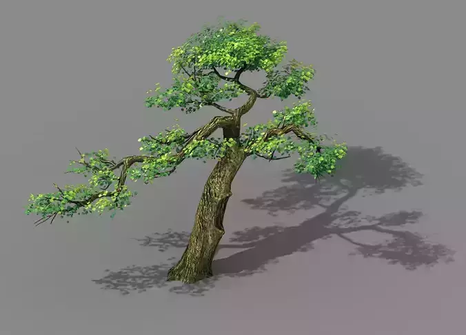 Explore the mountains - Cliff - Tree 04