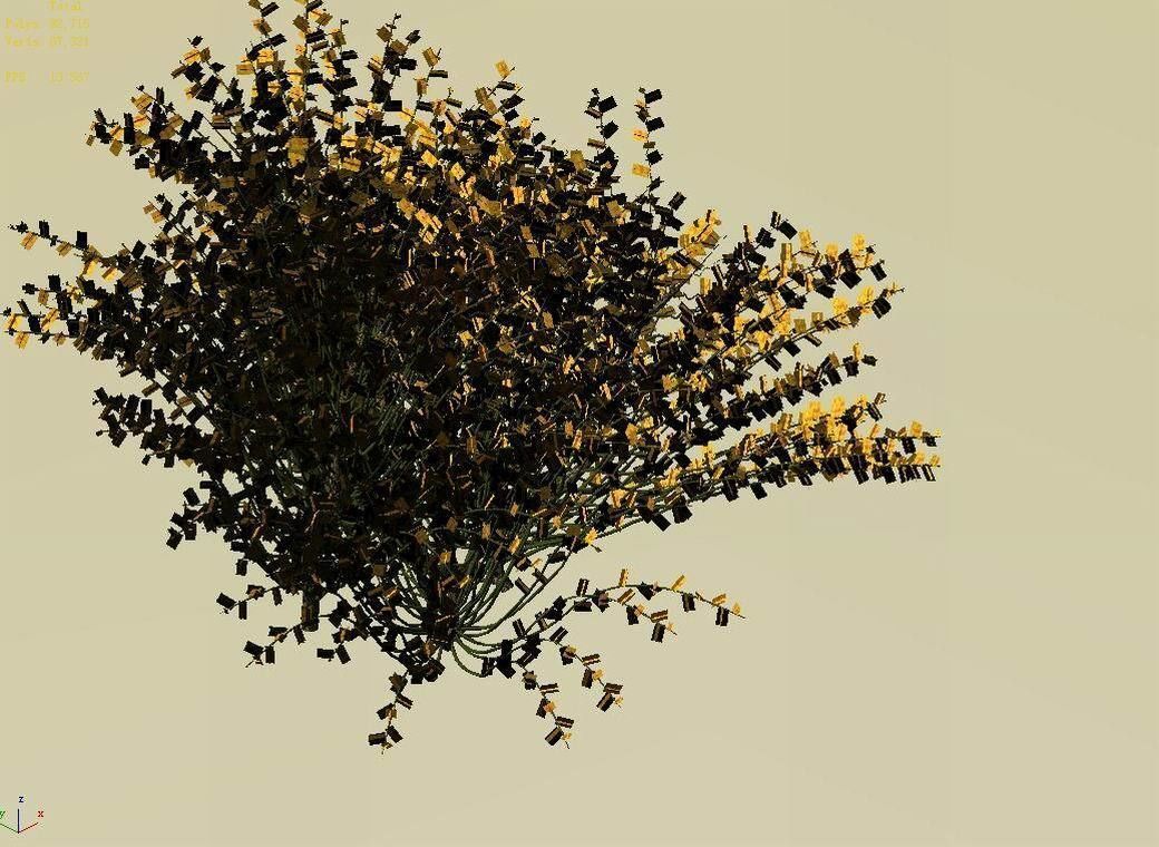 Explore the mountains - plants - shrubs 02 3D model_3