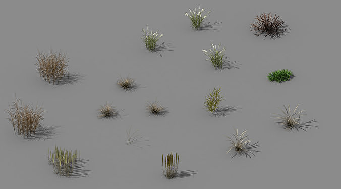 Explore the mountains - plants - weeds 3D model