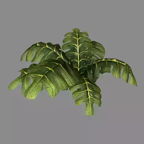 Tian Yin Temple - flowers 04