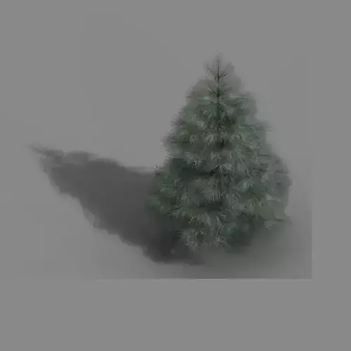 Tianyin Temple - Pine 01