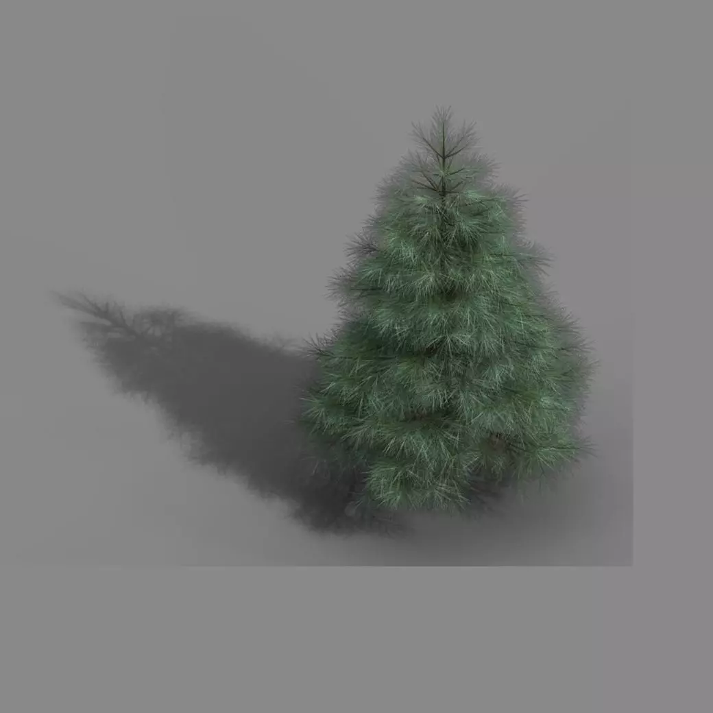 Tianyin Temple - Pine 01 3D model_0