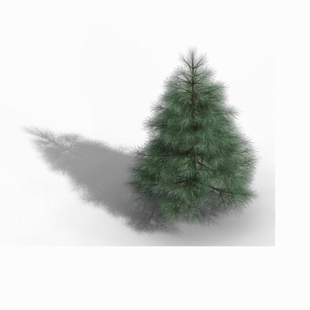 Tianyin Temple - Pine 01 3D model_1