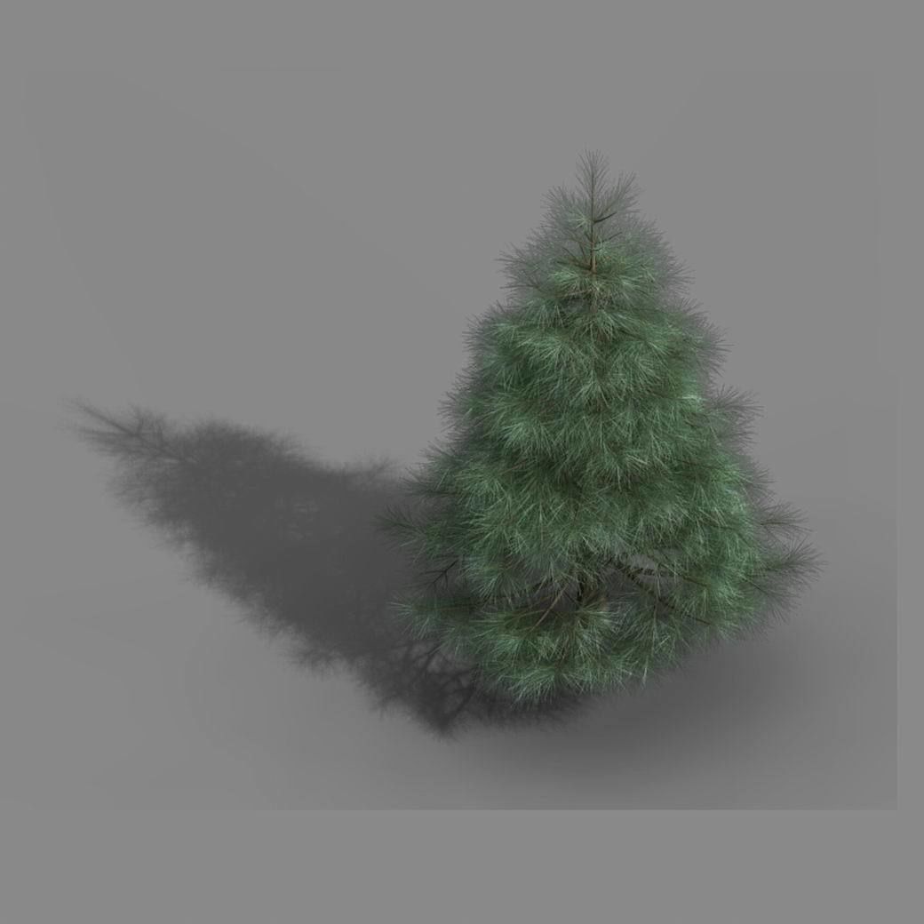Tianyin Temple - Pine 01 3D model_2