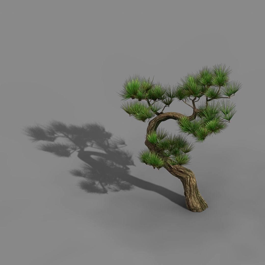 Tianyin Temple - Pine 03 3D model_6