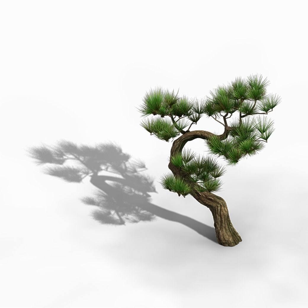 Tianyin Temple - Pine 03 3D model_7