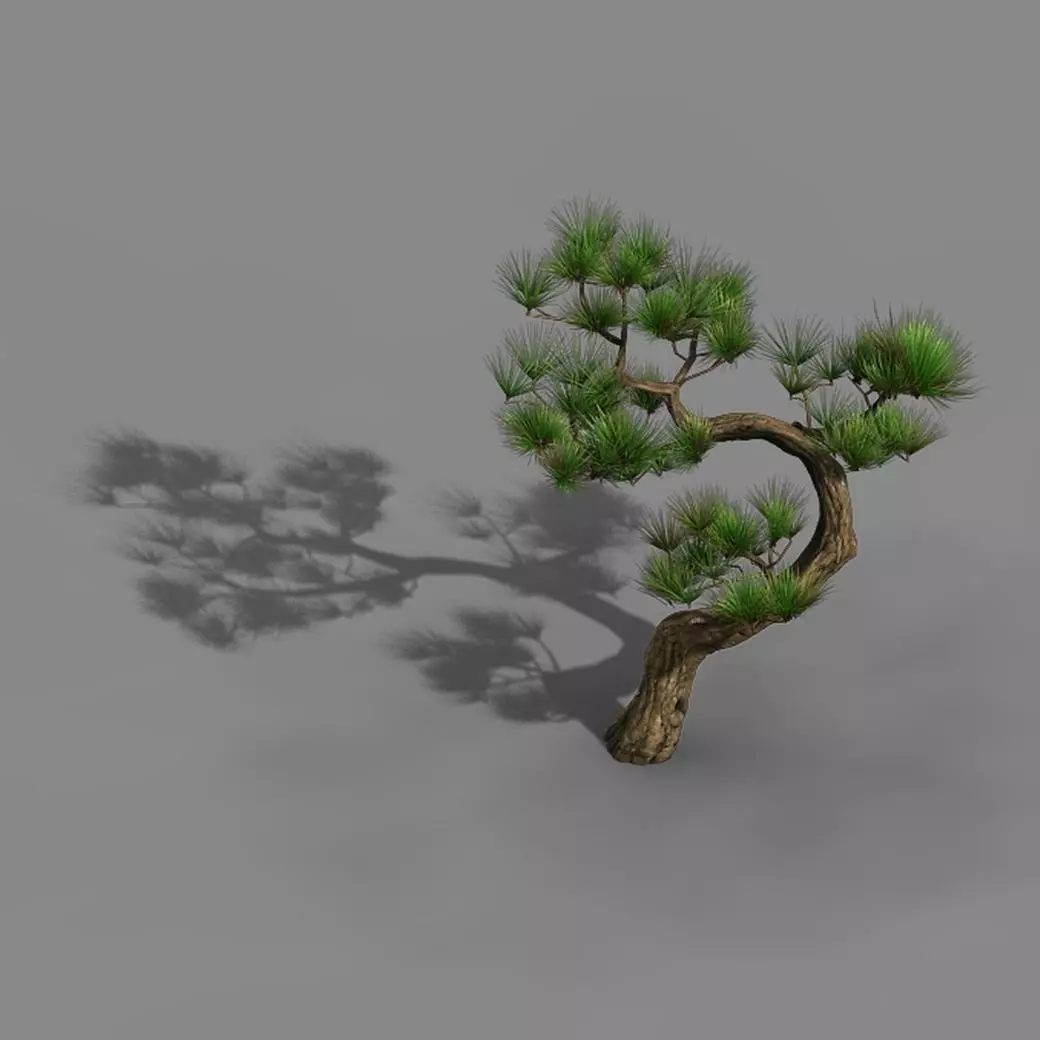 Tianyin Temple - Pine 03 3D model_0