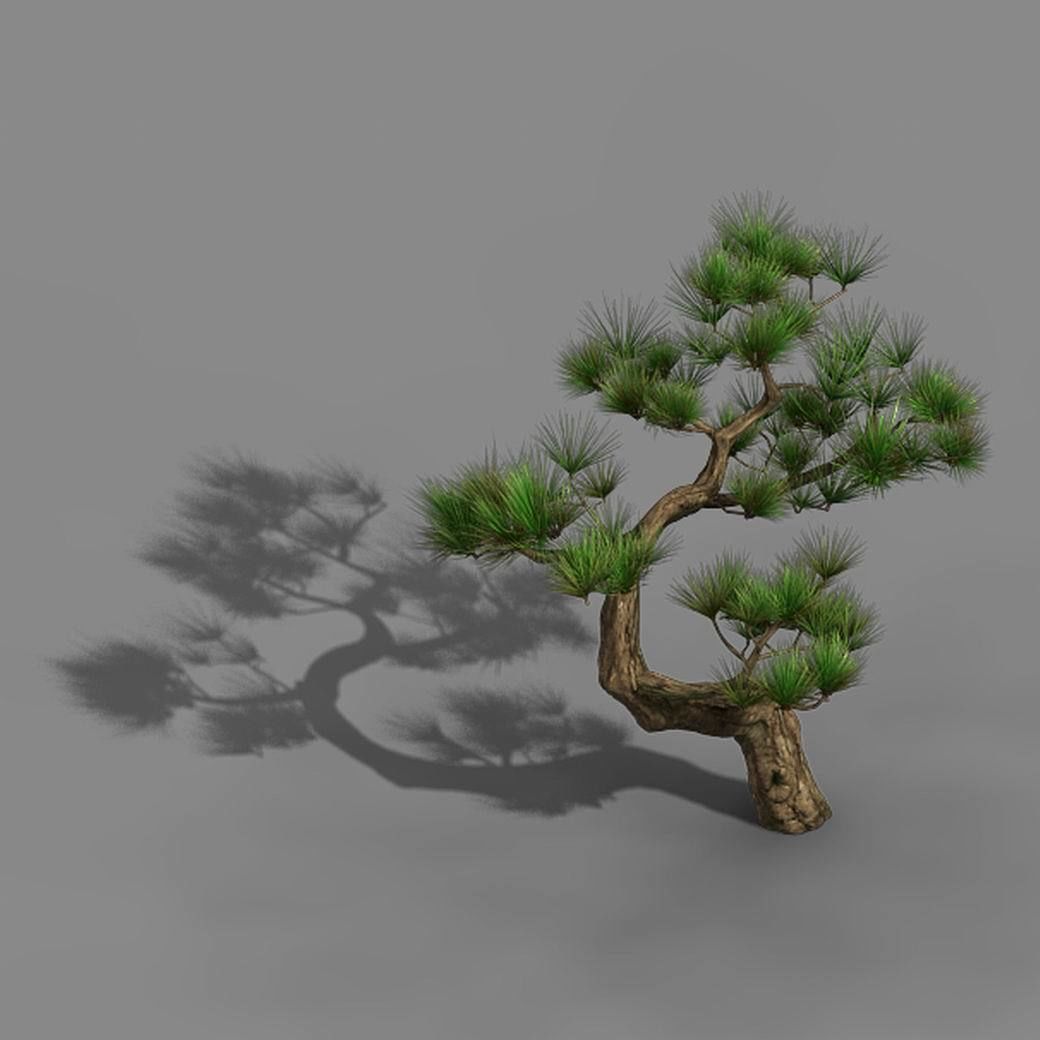 Tianyin Temple - Pine 03 3D model_4