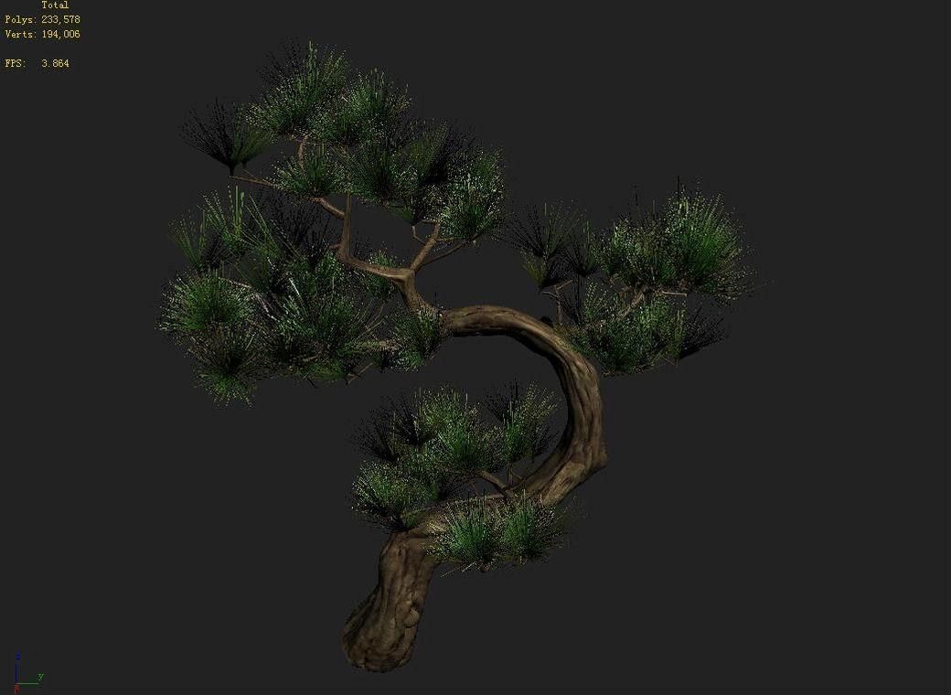 Tianyin Temple - Pine 03 3D model_9