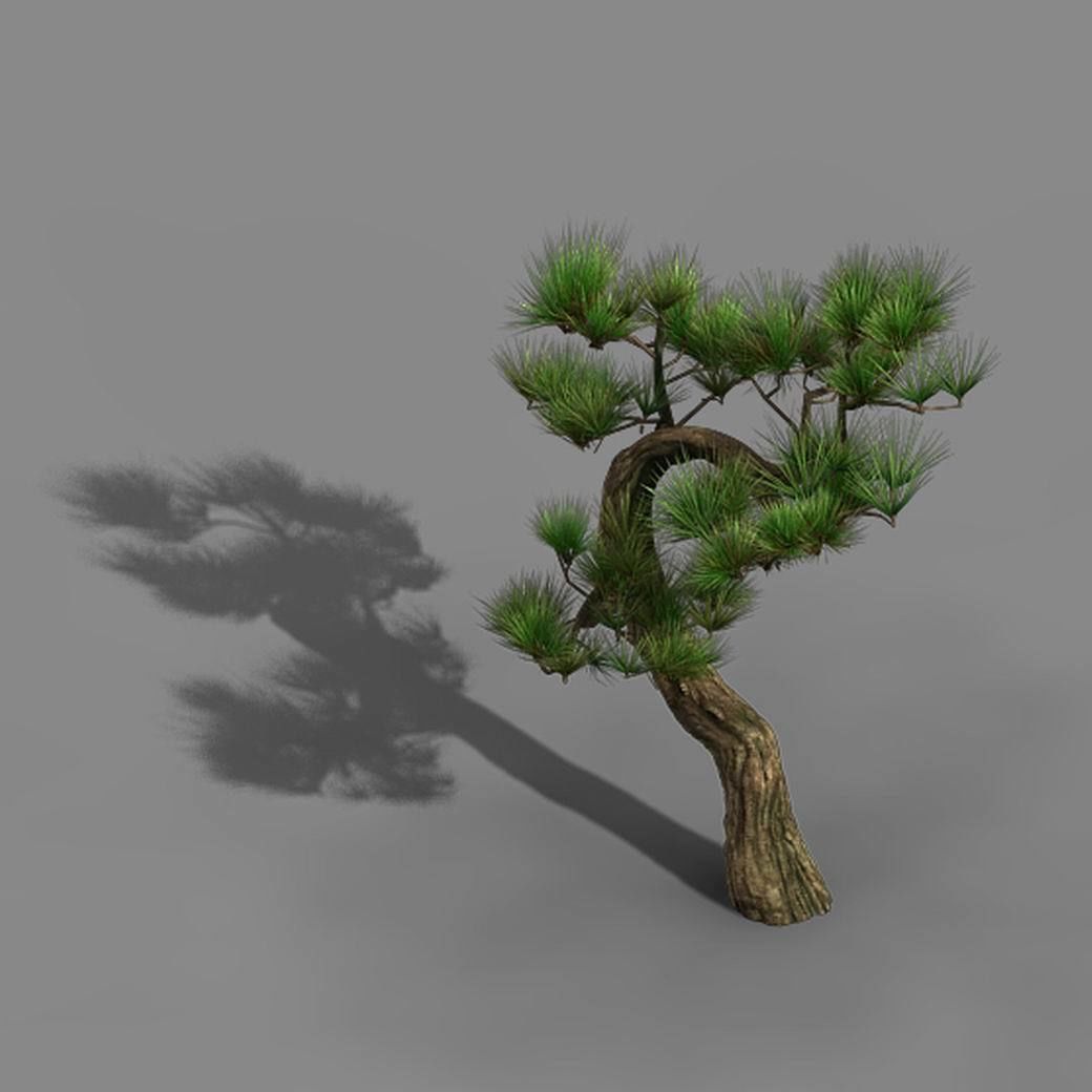 Tianyin Temple - Pine 03 3D model_2