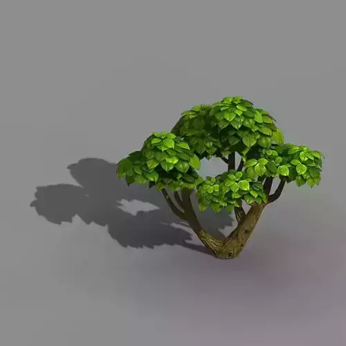 Tianyin Temple - Plant 603