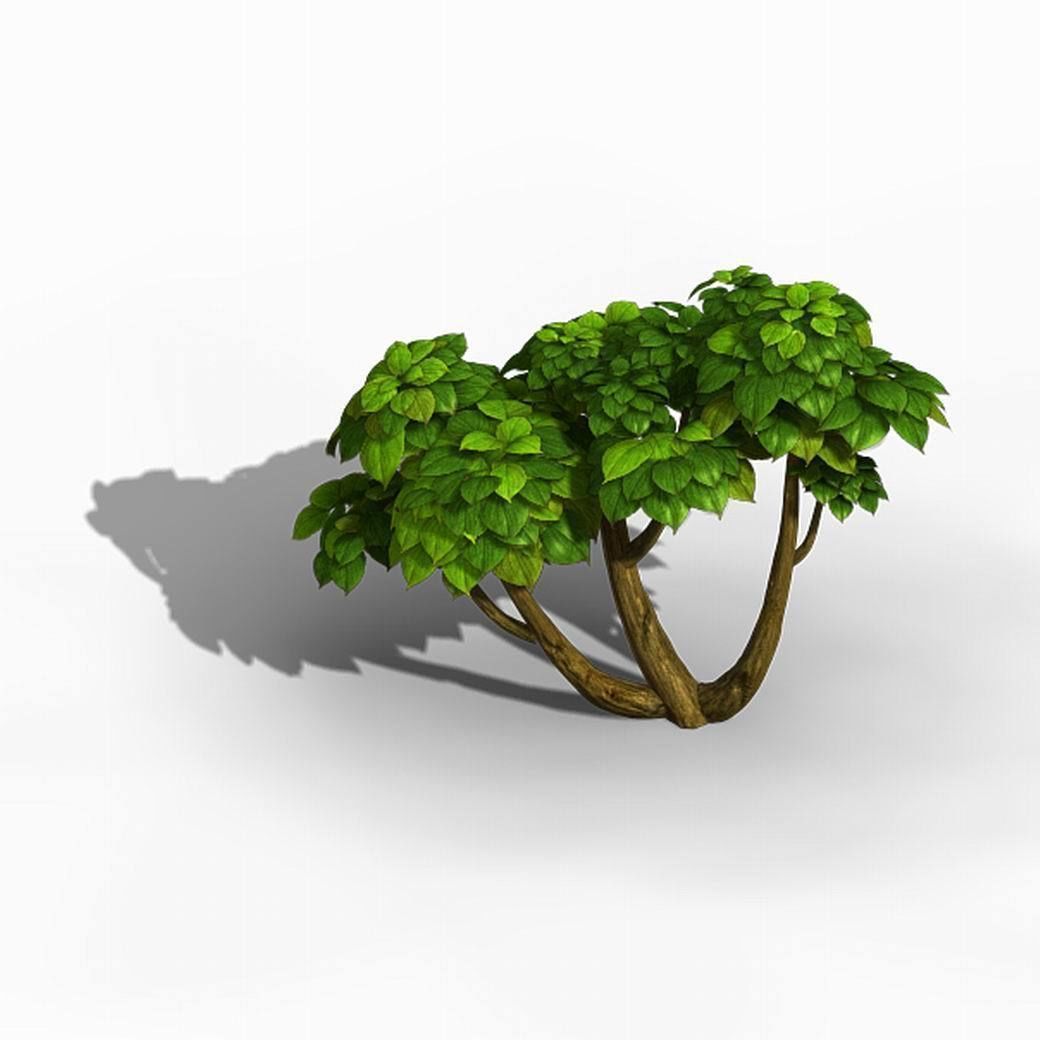 Tian Yin Temple - Plant 604 3D model_1