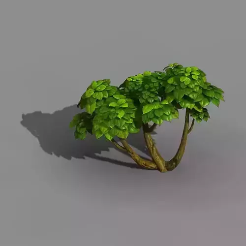 Tian Yin Temple - Plant 604