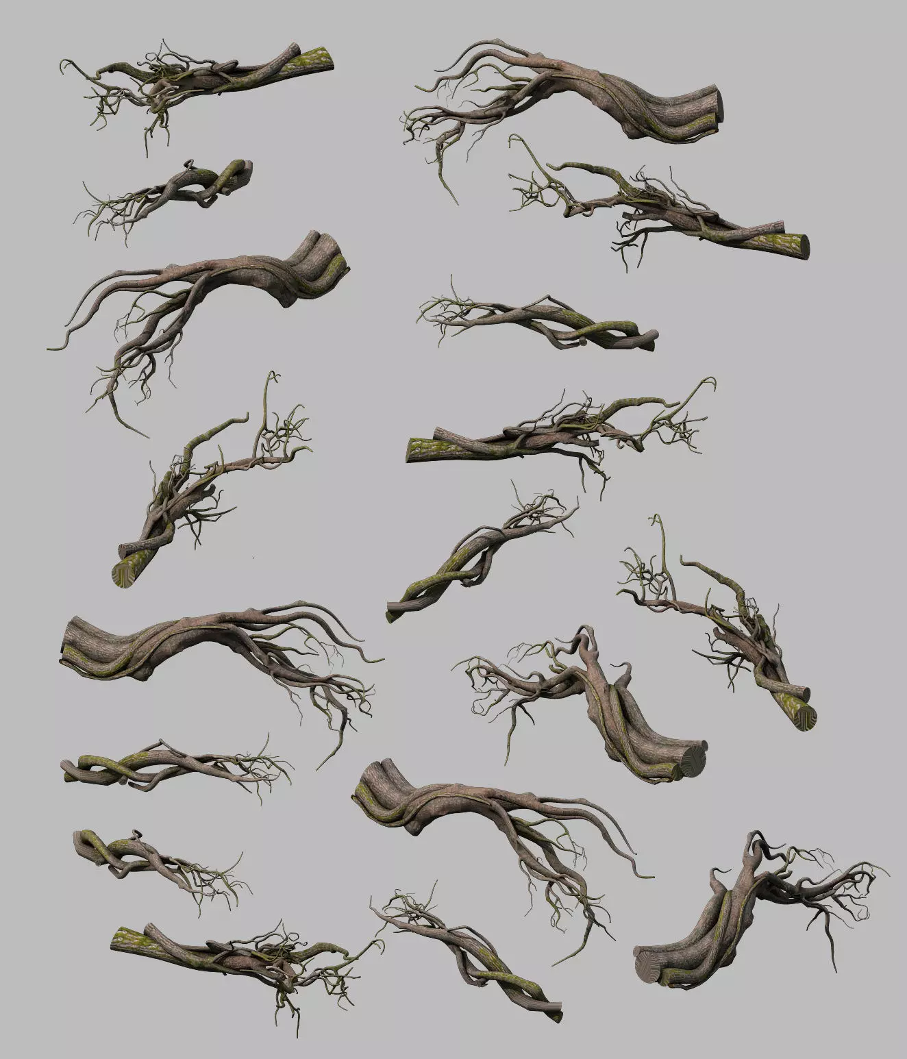 Tongtianhe - plants - climbing vine 3D model_0