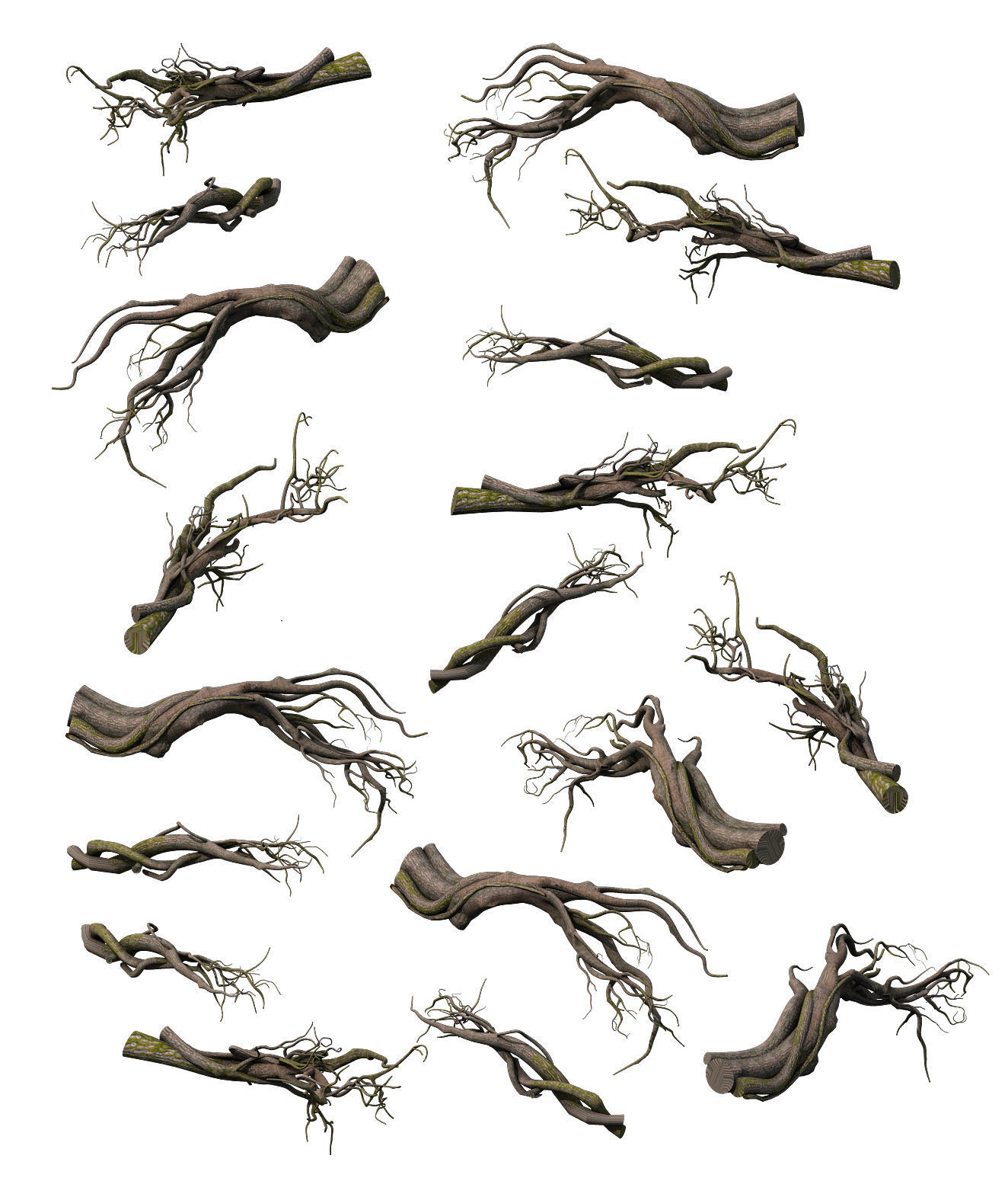 Tongtianhe - plants - climbing vine 3D model_1