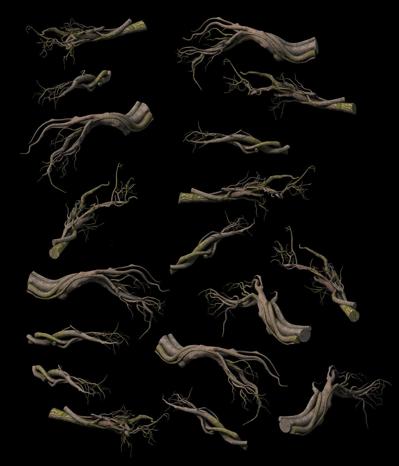 Tongtianhe - plants - climbing vine 3D model_2