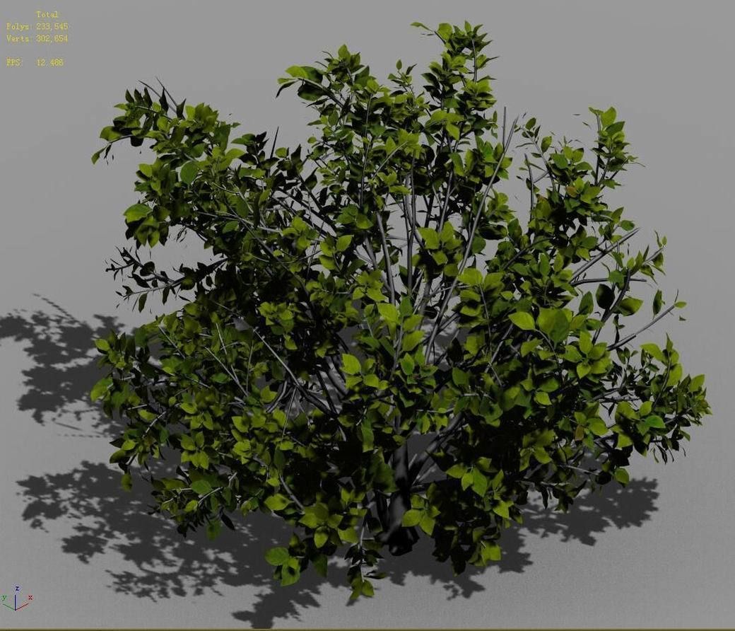 Journey to the West - shrubs 01 3D model_2