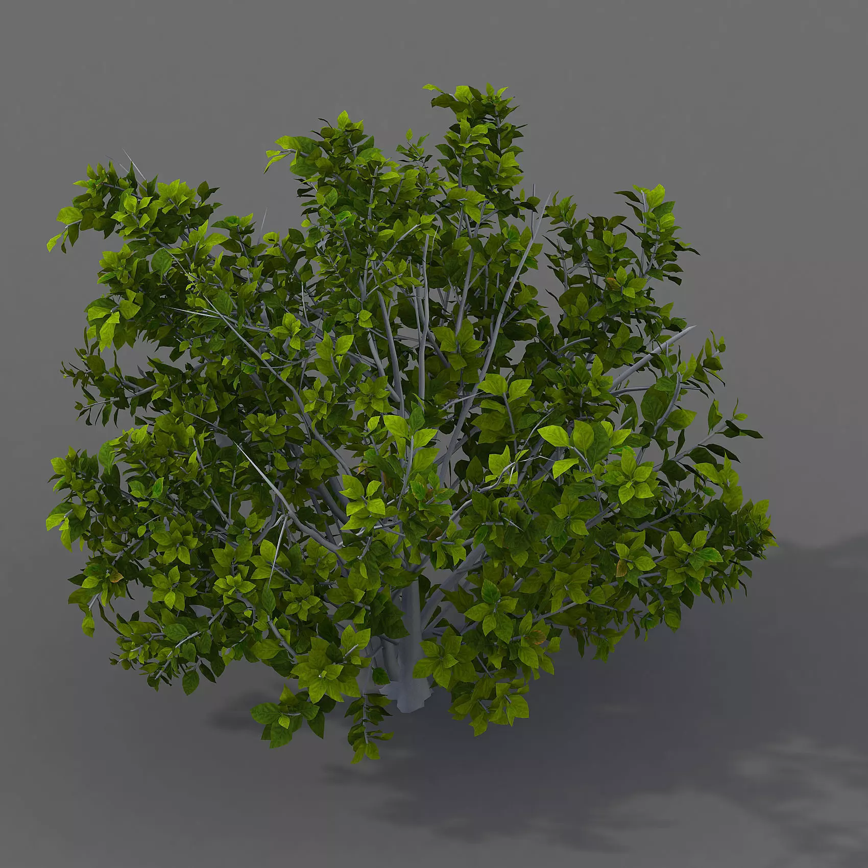 Journey to the West - shrubs 01 3D model_0