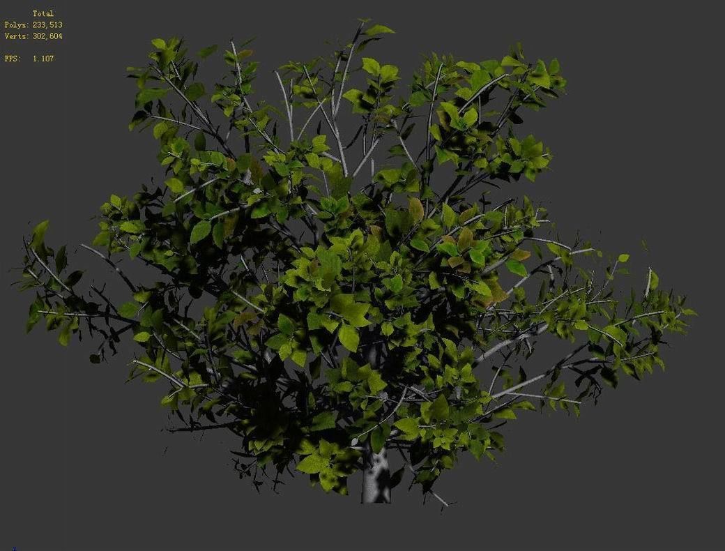 Journey to the West - shrub 03 3D model_2