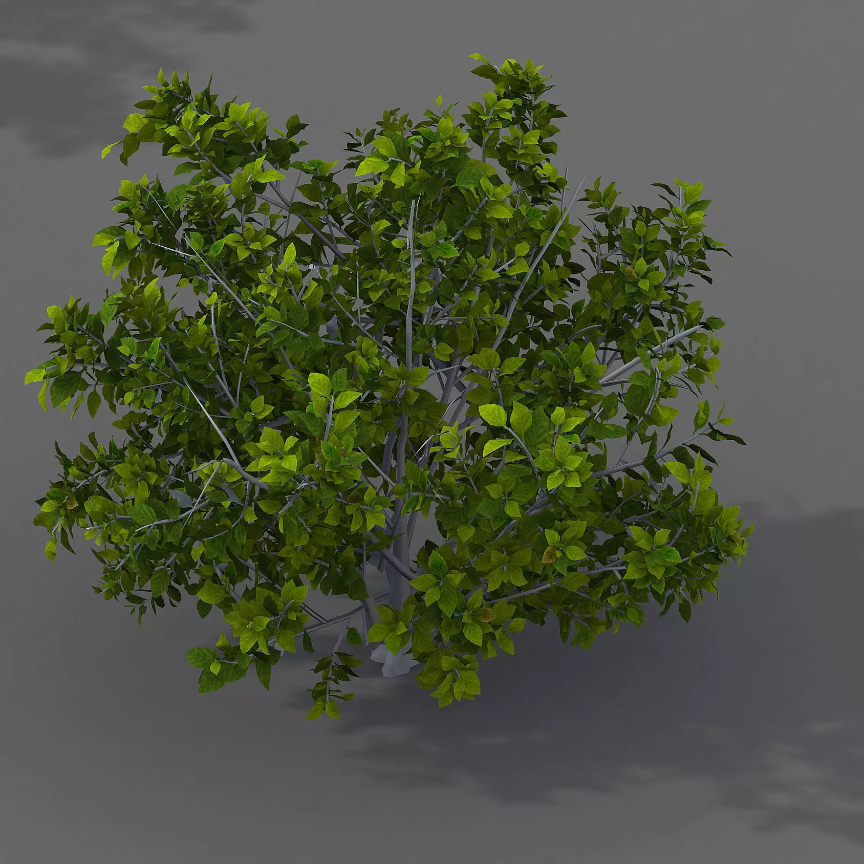 Journey to the West - shrub 03 3D model_0