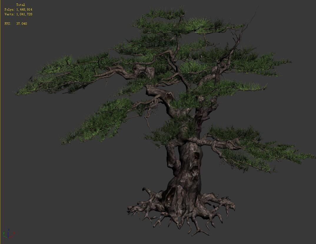 Journey to the West - Putuoshan - Pine 03 3D model_2