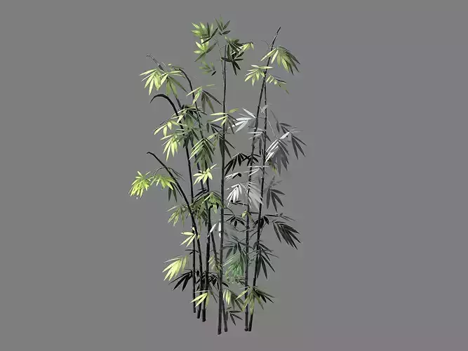 Journey to the West - Putuoshan - Bamboo 011