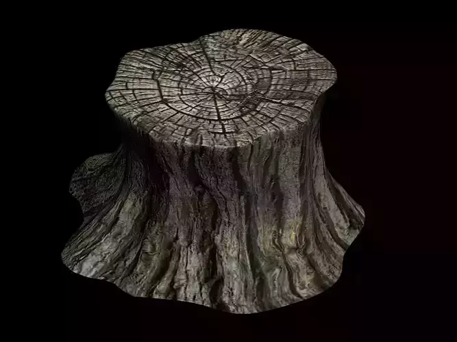 Journey to the West - stump 01