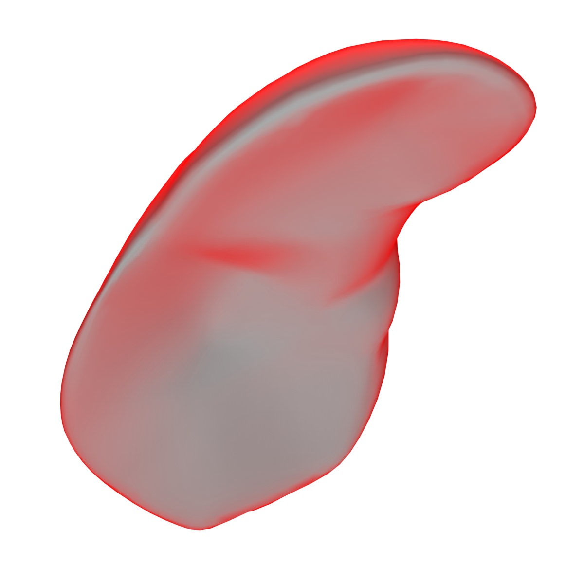 Liver Basic MAX 2008 3D model_2
