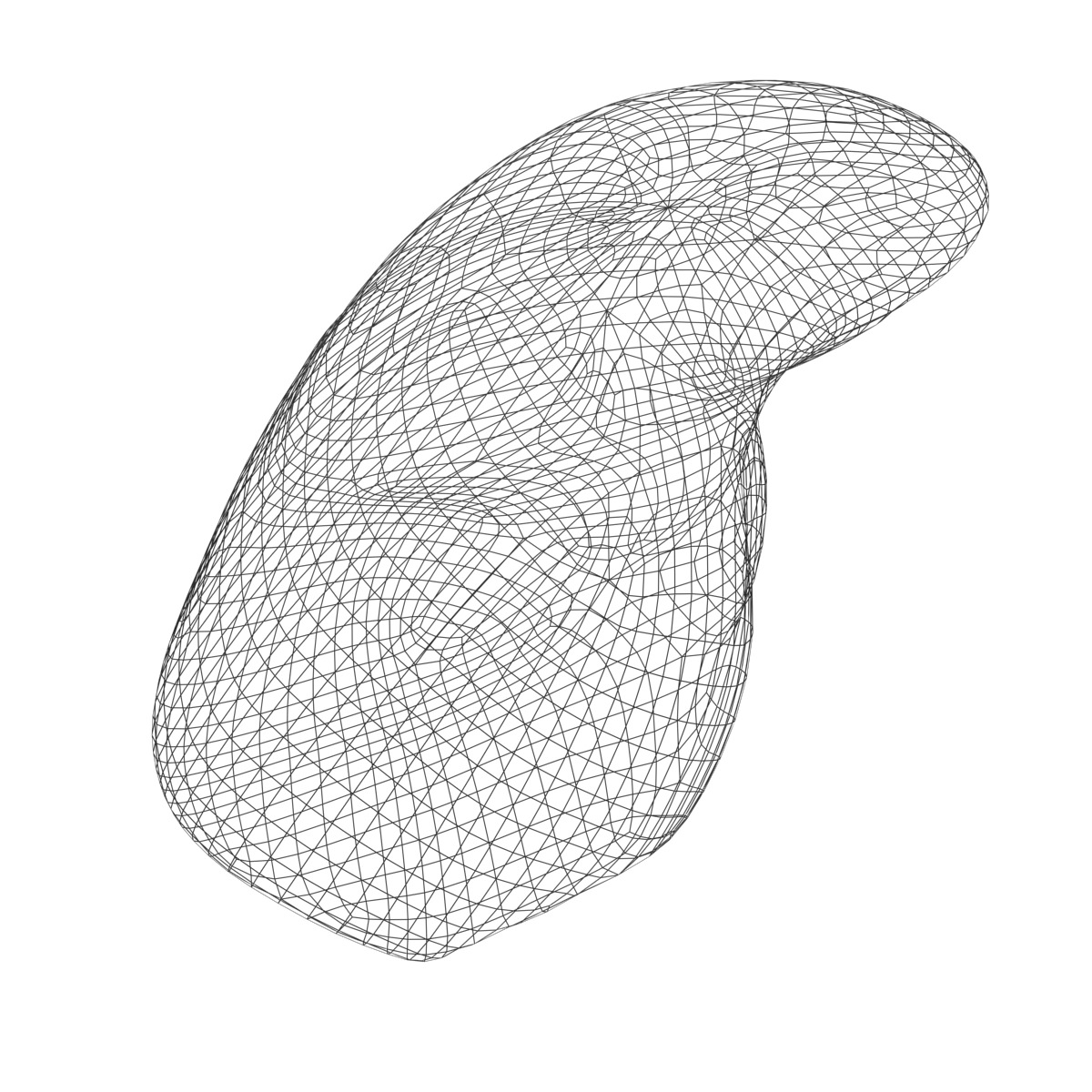 Liver Basic MAX 2008 3D model_5