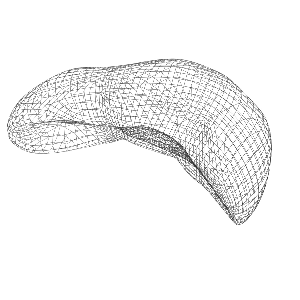 Liver Basic MAX 2008 3D model_7