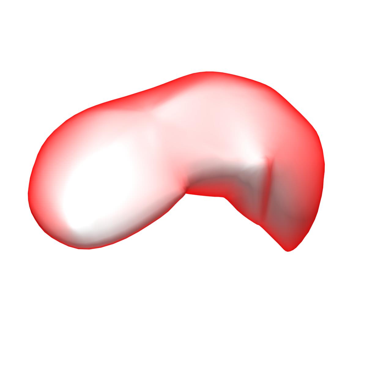 Liver Basic MAX 2008 3D model_4