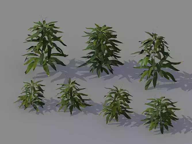 Journey to the West - Bamboo Shrubs 02