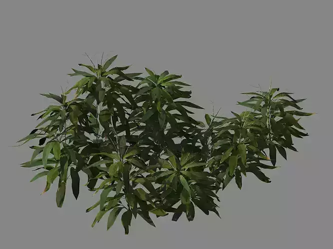Journey to the West - bamboo shrub 03