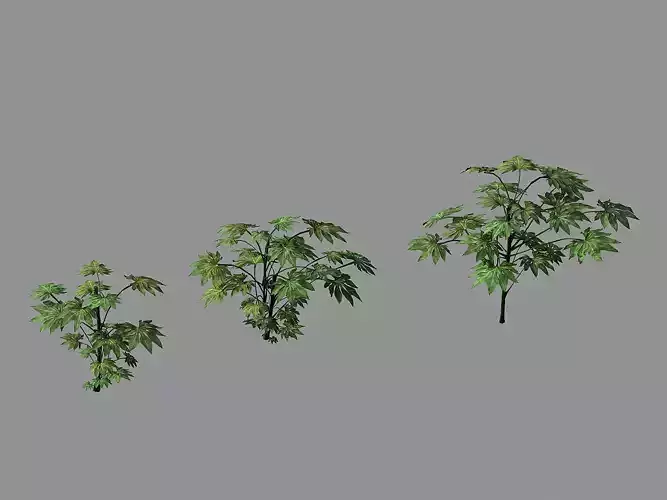 Journey to the West - Bamboo Grove 04