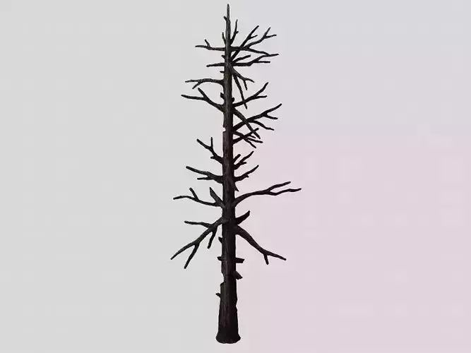 Vampire Sinnar - dead tree 1001