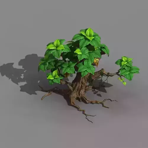 Koike town - plant 02