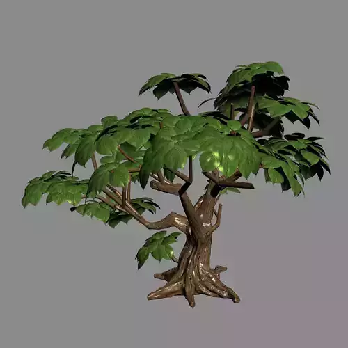 Koike Town - Plant 03