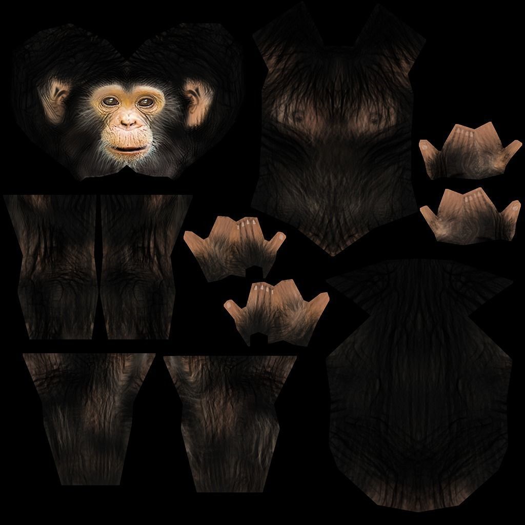 Chimpance chimpanzee Low-poly 3D model_4