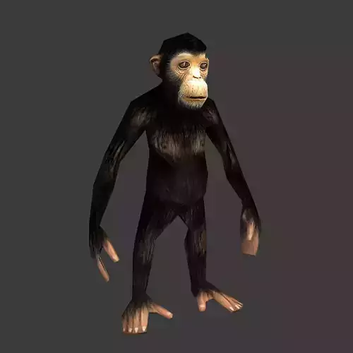 Chimpance chimpanzee Low-poly 3D model