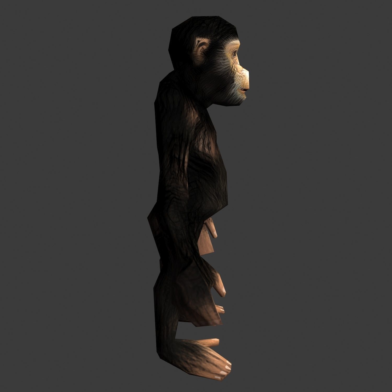 Chimpance chimpanzee Low-poly 3D model_1