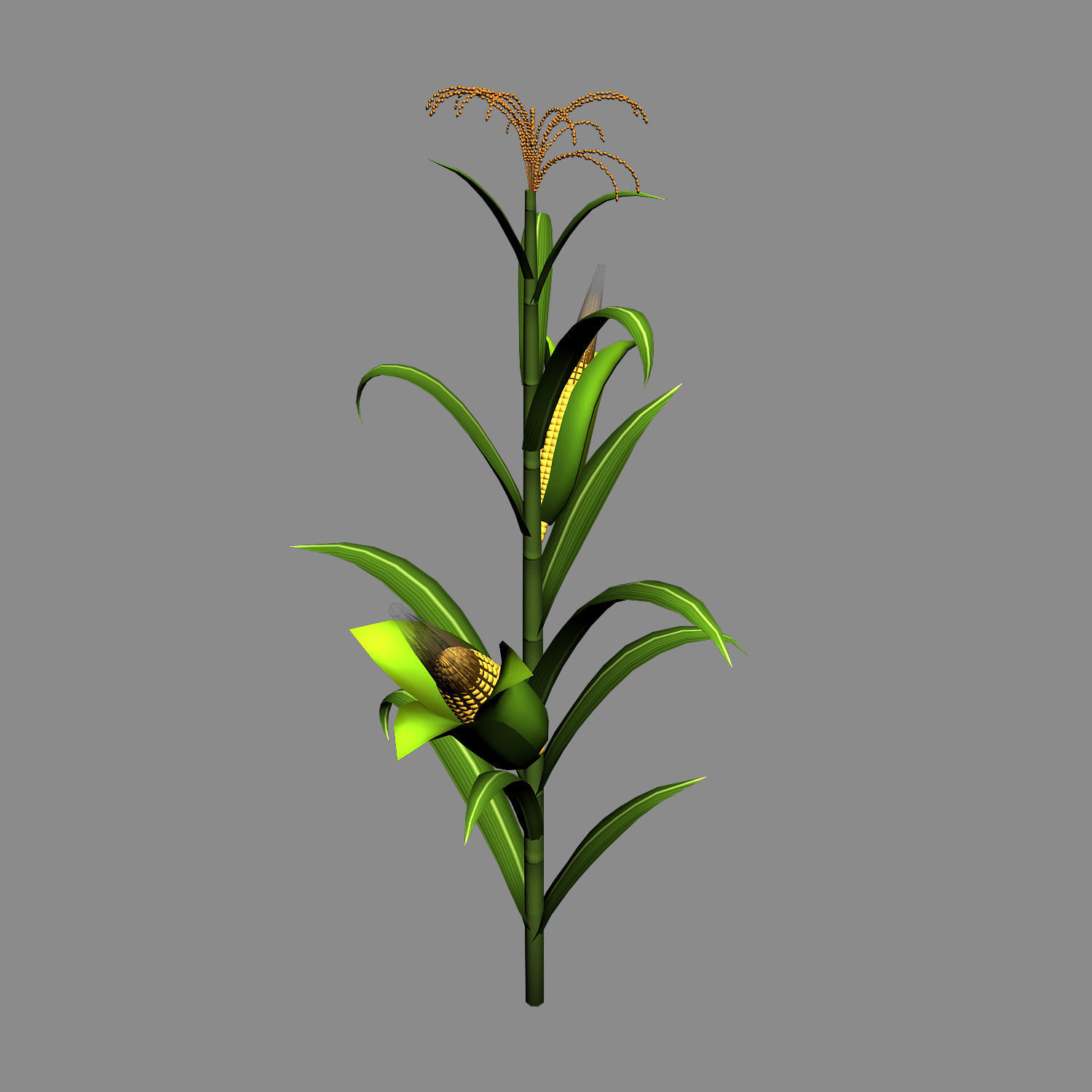 Koike town - plant - corn 01 3D model_3