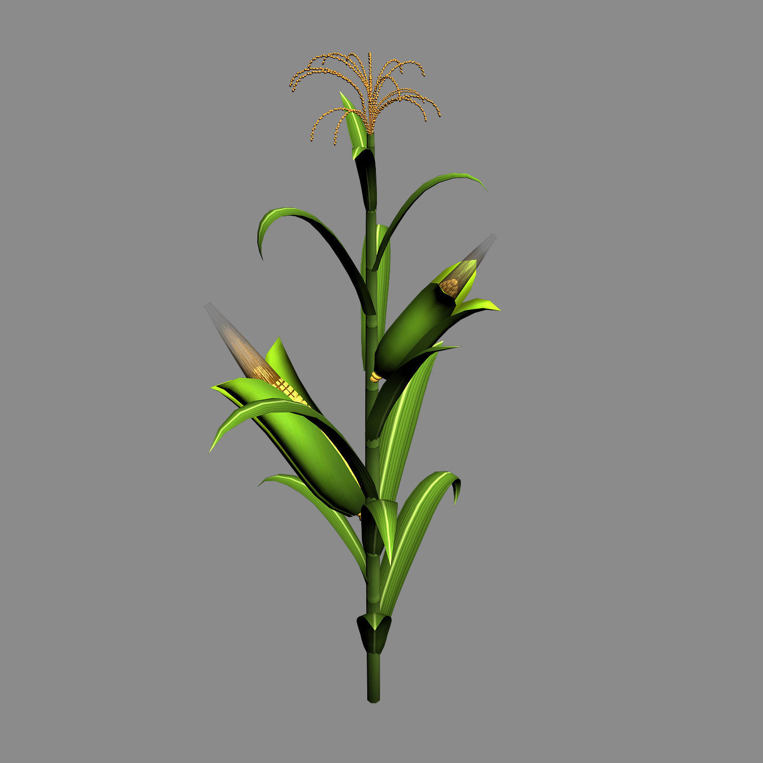 Koike town - plant - corn 01 3D model_5