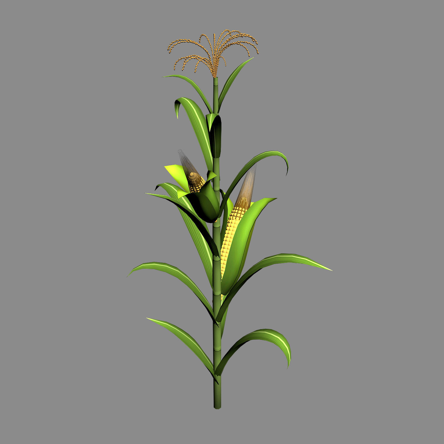 Koike town - plant - corn 01 3D model_7