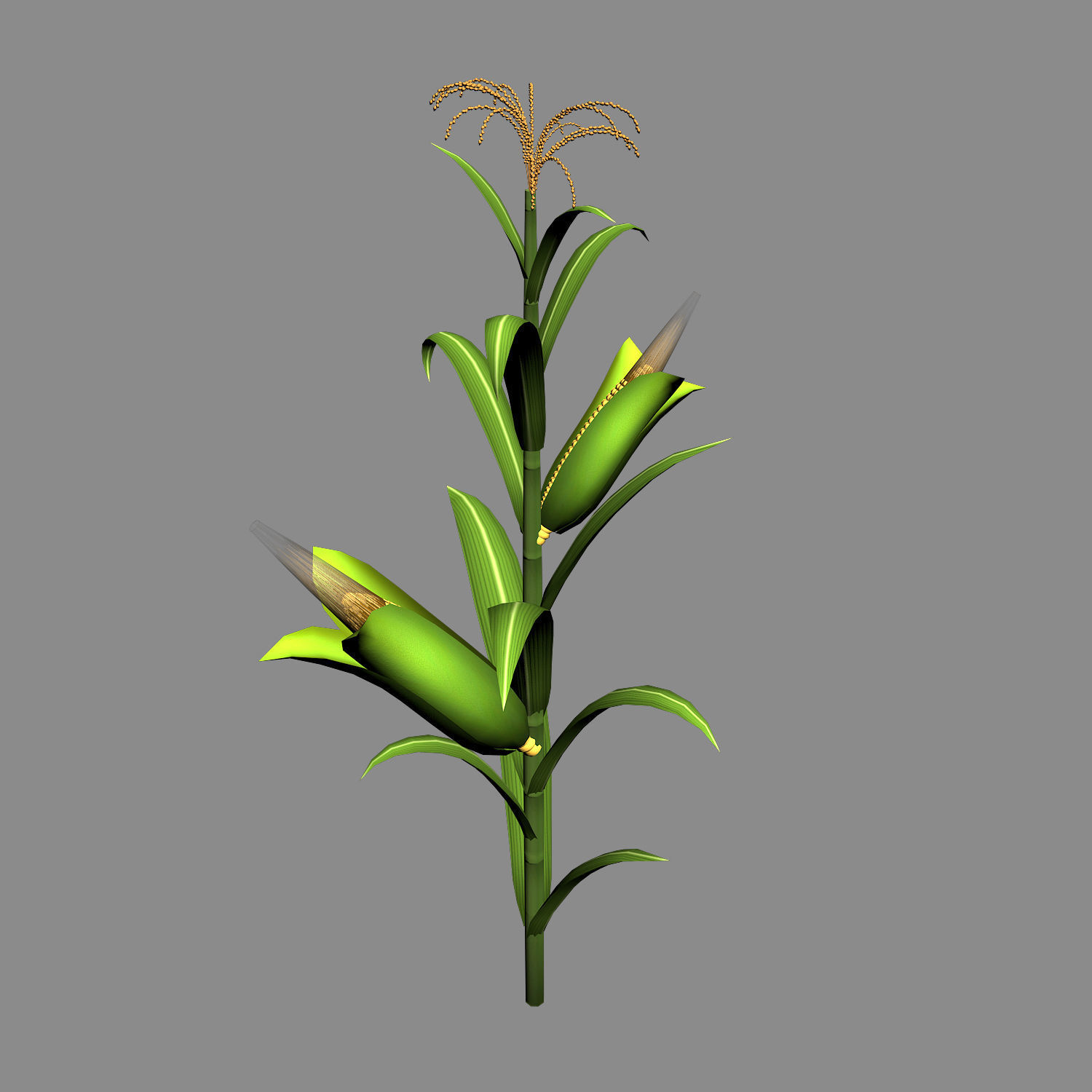 Koike town - plant - corn 01 3D model_4