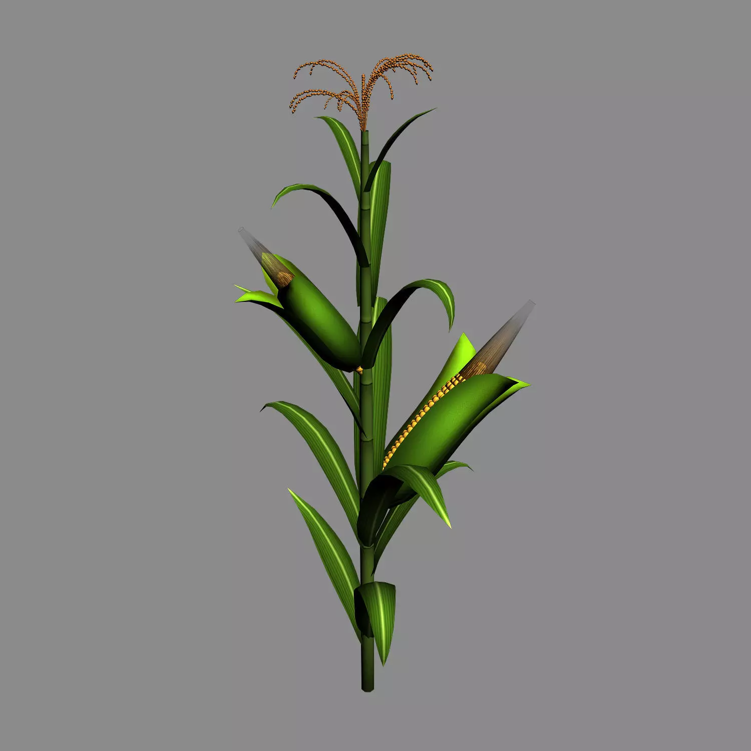Koike town - plant - corn 01 3D model_0